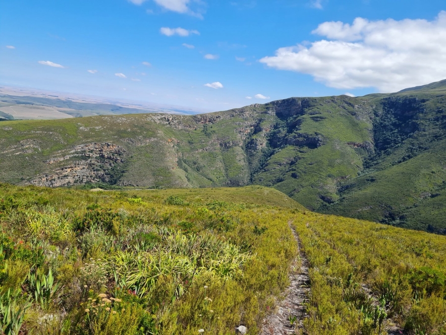  Bedroom Property for Sale in Swellendam Rural Western Cape